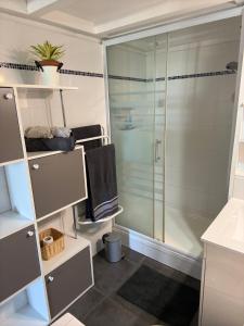a shower in a bathroom with a glass shower stall at Ti Coin Soleil in Saint-Paul