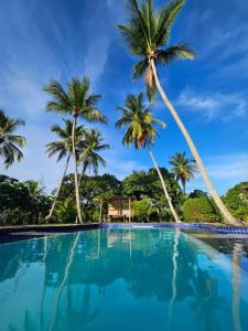 a swimming pool with palm trees in the background at Porto Taipu in Marau