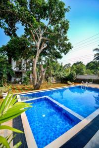 a swimming pool in a yard with a tree at Summerland Residence in Udawalawe