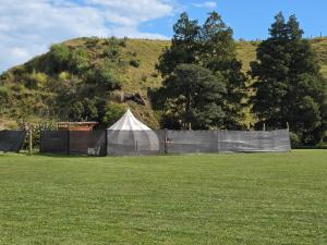 a tent in a field with a hill in the background at Blue Aster Retreat in Mokau
