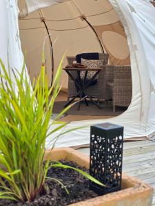 a tent with a table and a chair in front at Blue Aster Retreat in Mokau +3 photos