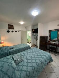 a bedroom with a bed and a desk and a television at Casa los Arcos Oaxaca in Oaxaca City