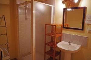 a bathroom with a sink and a mirror and a shower at Le bourg in Vaulry +11 photos