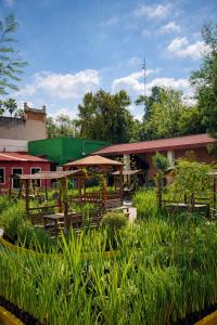 a restaurant with tables and umbrellas in a field of grass at Hotel Express Quinta Soledad in Mexico City