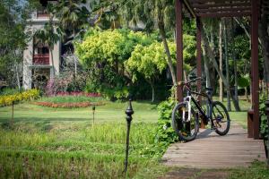 una bicicleta estacionada en un paseo marítimo de madera en un parque en Four Seasons Resort Chiang Mai, en Mae Rim