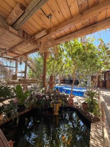 a koi pond under a pergola next to a pool at Las Palmas in Eilat