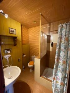a bathroom with a sink and a toilet and a shower at Hotel U Branky in Stříbro