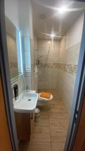 a bathroom with a sink and a shower and a toilet at Hotel U Branky in Stříbro