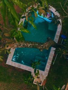 an overhead view of a swimming pool with a tree at Mariposa Hiriketiya in Dickwella