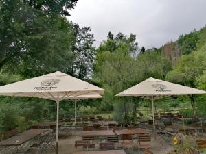 two umbrellas and tables and chairs with tables and benches at Zeitinsel Doos in Waischenfeld +32 photos