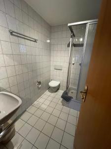 a bathroom with a shower and a toilet and a sink at Sandstein- & Maerchenhoehle Walldorf GbR in Walldorf