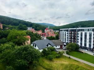 a group of buildings in a town with trees at Glory Apart Polyana in Polyana +5 photos