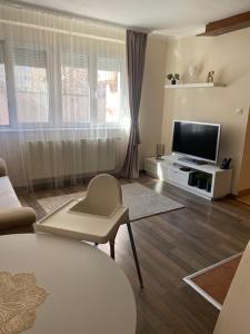a living room with a television and a chair at Vio Art Apartman in Székesfehérvár
