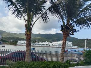two palm trees in front of a river with a cruise ship at Hom Ba cây dừa in Vĩnh Hy