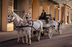 a woman riding in a carriage pulled by two white horses at Anantara Palais Hansen Vienna - A Leading Hotel of the World in Vienna +73 photos