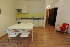Kuchyň nebo kuchyňský kout v ubytování Toldi Apartments Pécs