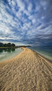 a sandy beach with a cloudy sky and water at Apartman Denis in Pula