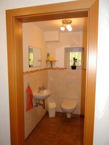 a bathroom with a sink and a toilet at Ferienhaus Lemberger in Jochberg