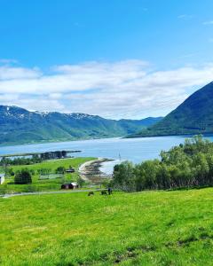 a green field with a view of a lake at Home with a view in Storholmen