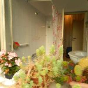 a room with flowers and a bathroom with a toilet at Bed And Roses in Montesilvano +8 photos