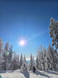 a person riding a snowboard down a snow covered slope at Ochsenkopf-apartment in Bischofsgrün +12 photos