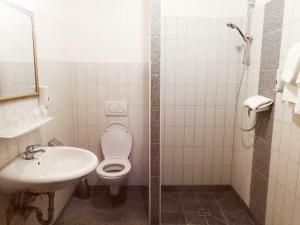 a bathroom with a toilet and a sink at Econnomy Adler in Golling an der Salzach