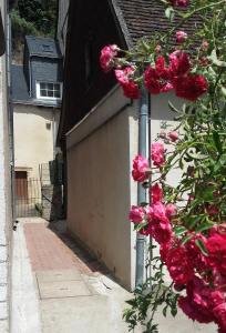 Ein paar rosa Blumen neben einer Garage. in der Unterkunft La Petite Lucette in Amboise