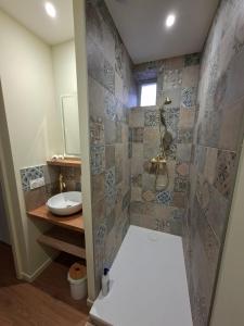 a bathroom with a shower and a sink at Le Ségusiave SPA in Feurs