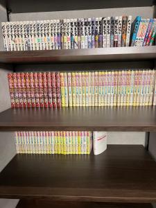 a shelf full of dvds at Anbo-ing in Yakushima