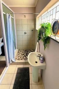 a bathroom with a sink and a shower at Pangolin self-catering accommodation in Windhoek +18 photos