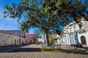 un árbol en medio de una calle con bancos en Casa Annette, en Copertino