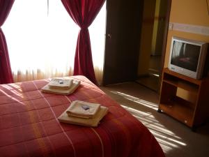 Postel nebo postele na pokoji v ubytování Hostal Residencia Blest Gana