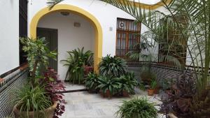 een binnenplaats van een huis met potplanten bij Casa Típica Cordobesa in Córdoba