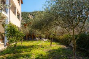 a yard with trees in front of a building at Sunny Breeze Hotel in Vlorë