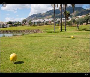 ベナルマデナにあるSunny Apartments Benalmadena Golfの野原の草の上に黄色い玉が2つ