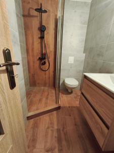 a bathroom with a shower and a toilet at Central Apartman Tatabánya in Tatabánya