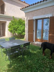 a black dog standing next to a table and chairs at Appartement à Lumio in Lumio