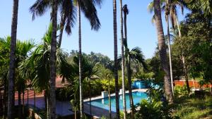 a view of the pool through the palm trees at Hotel Akshada & Guest House in Banda