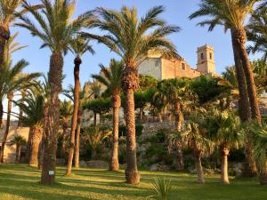 a group of palm trees in front of a building at Bertur San Antonio Mar in Alcossebre