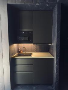 a kitchen with a sink and a microwave at Loft Cierp-Gaud in Cierp +20 photos