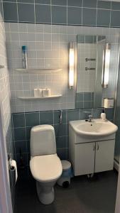 a bathroom with a toilet and a sink at Hotelli Kantakievari in Ruovesi