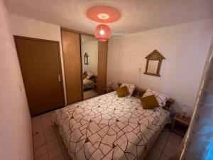 a bedroom with a bed and a large mirror at Appartement tout confort et idéalement situé in Petit-Bourg
