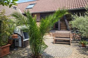 a palm tree in the courtyard of a house at Hotel am Hafen Leverkusen in Leverkusen