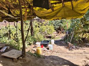 a tent with a table and a bucket in the dirt at Virendra Home Stay in Kartal