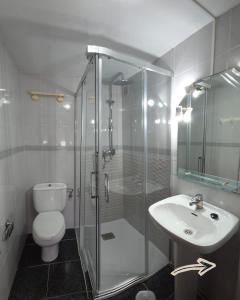 a bathroom with a shower and a toilet and a sink at Alojamientos Fermín in Cangas de Onís