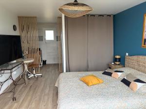 a bedroom with two beds and a television in it at Les vergers d'Anjoy in Montesquieu +16 photos