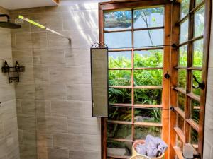 a shower in a bathroom with a large window at ZenCapeTown Forest Retreat in Cape Town