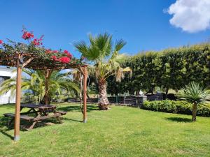 a park with a picnic table and palm trees at Quinta Velha in Ribeira Grande
