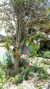 a tree in the middle of a garden with flowers at Líu homestay in Klong A