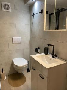 a bathroom with a toilet and a sink at Appartement met jacuzzi in Huizen in Huizen +7 photos